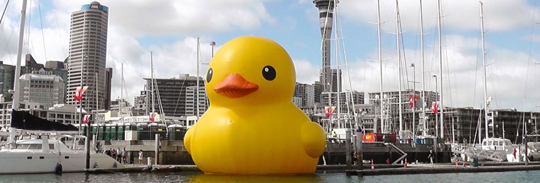 Rubber Duck Project